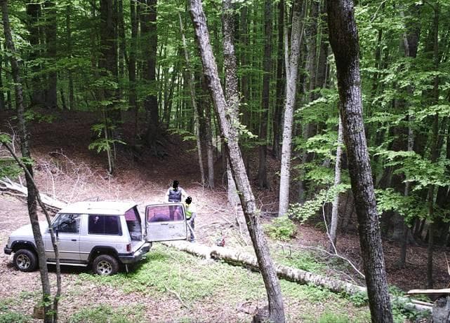 Furto di legna nel Parco della Sila, tre denunce
