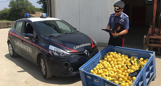 Carabinieri arrestano 4 persone per furto aggravato