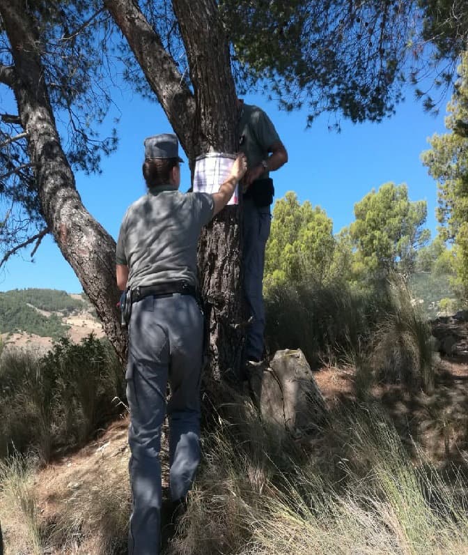 Carabinieri Forestale: incendi alto Jonio cosentino, comuni di Albidona e Amendolara