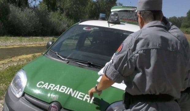 Carabinieri Forestale Calabria: sequestrati 40 ettari di pineta ad Amendolara