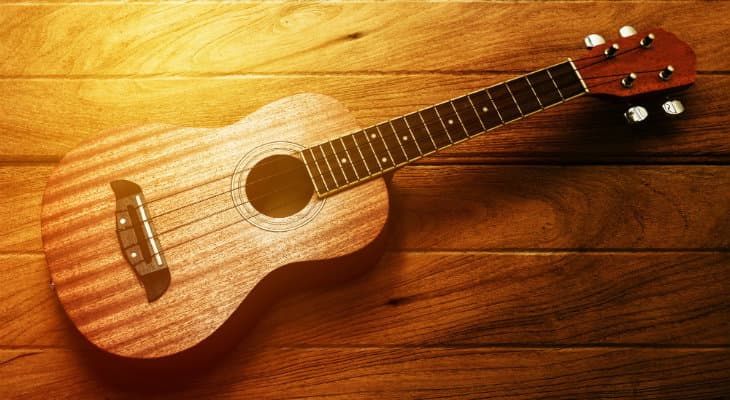 Arriva dall’Alto Jonio l’ukulele per il musicista internazionale Danilo Vignola