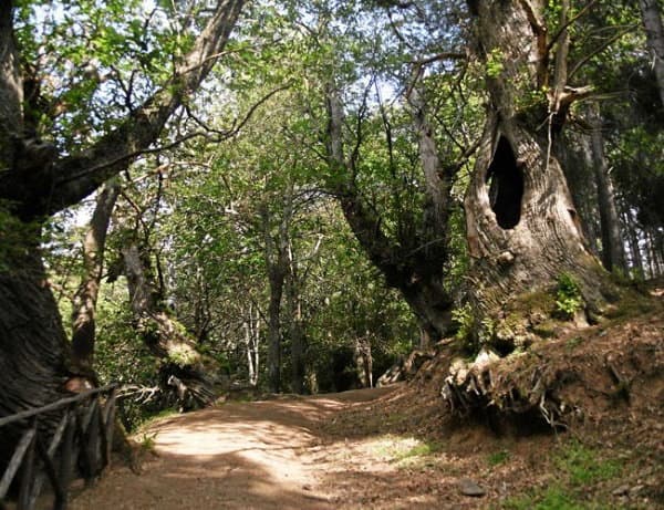 Bevacqua: proposta di legge per Riserva Naturale dei Giganti del Cozzo del Pesco e Valle del Colagnati, nel Comune di Corigliano Rossano