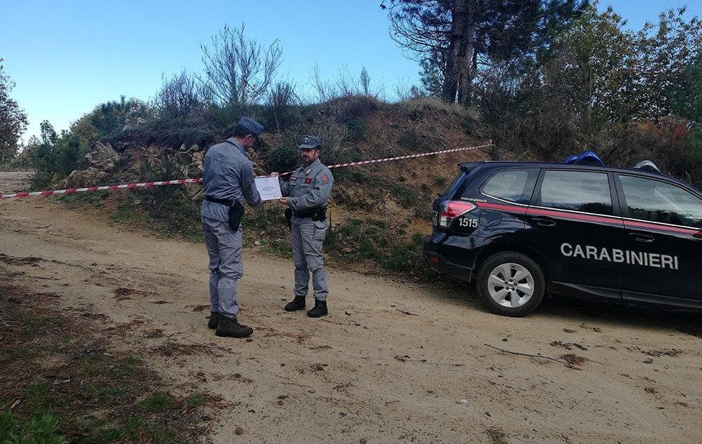 Carabinieri Forestale, taglio irregolare ad Acri