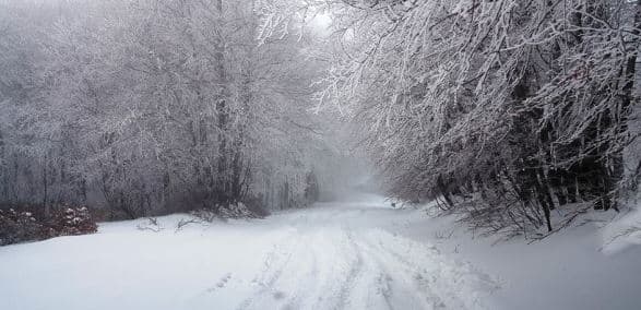 Capodanno con la neve in Sila, Pollino e Aspromonte