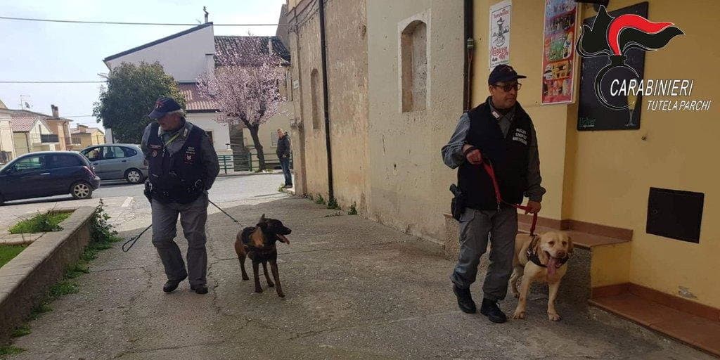 Unità Cinofila Antiveleno in azione a Cassano