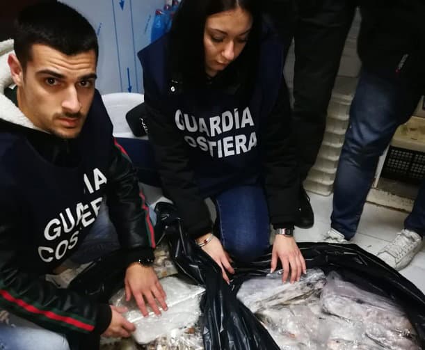 Guardia Costiera: sequestrate oltre 3 tonnellate di prodotti ittici
