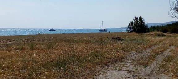 Migranti sbarcano a Calopezzati, alcuni sono in fuga