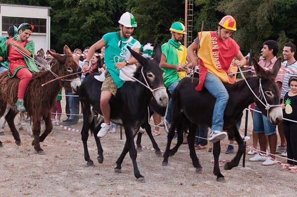Laino Borgo si prepara al "Palio cu i ciucci". Il 12 e 13 agosto l'avvincente torneo tra i rioni