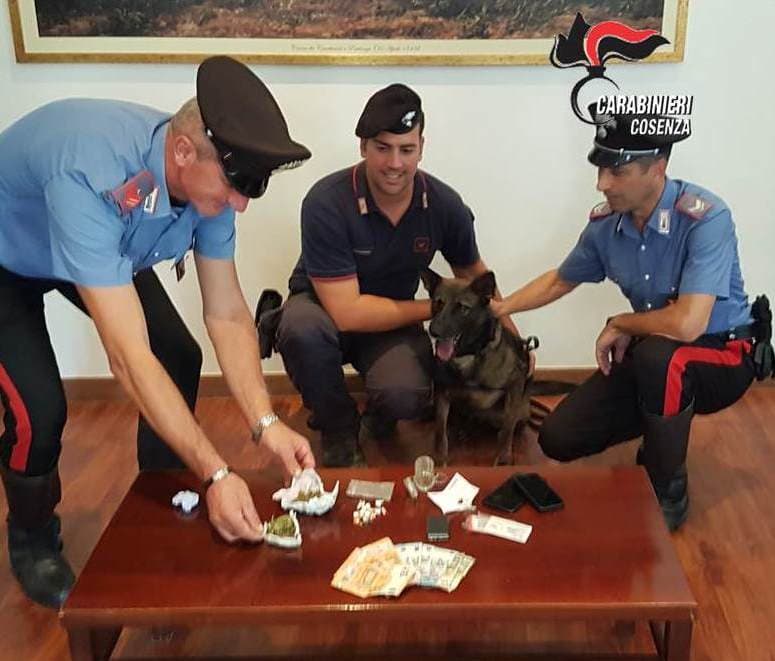 Carabinieri Cosenza, Mendicino: 23enne arrestato per spaccio di sostanze stupefacenti