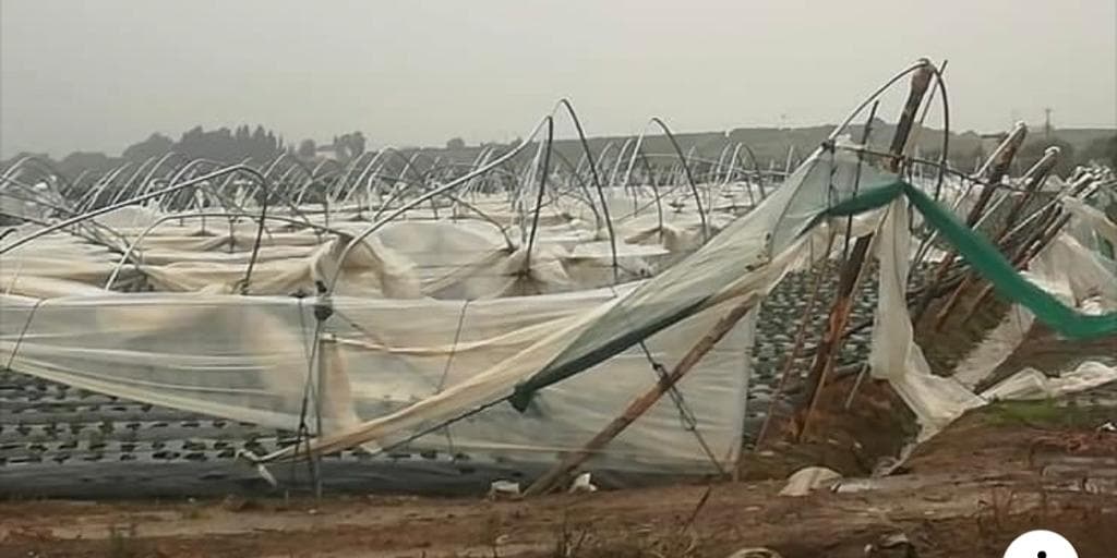Coldiretti Calabria, tromba d’aria a Cariati: distrutti 6 ettari di serre