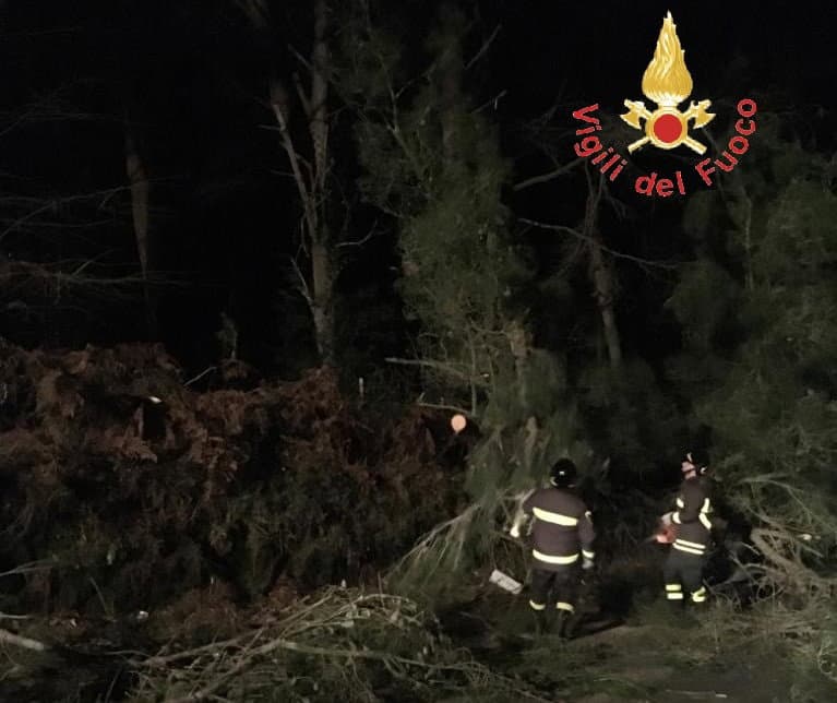 Maltempo, in Calabria “piovono” alberi