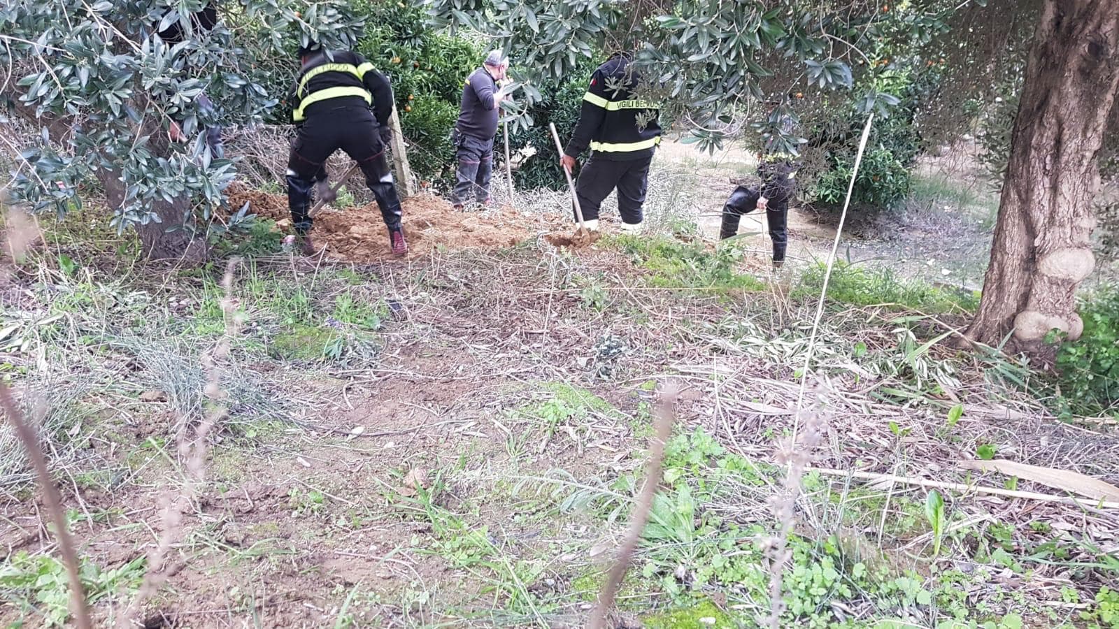 Thurio: il Crati fa paura e i Vigili del Fuoco evitano il peggio - FOTO