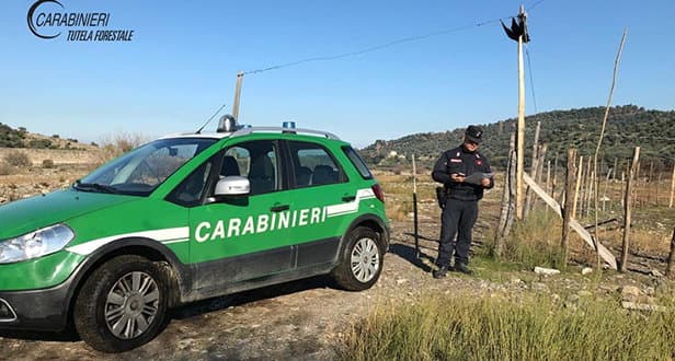 Posti sotto sequestro dieci ettari di terreno nel Colognati
