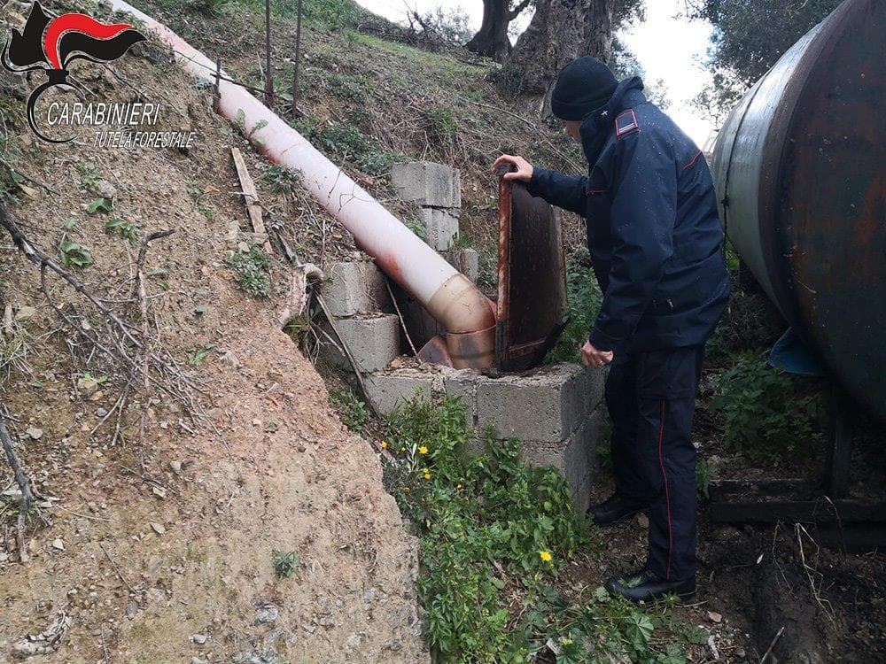 A Corigliano Rossano deferito proprietario di un frantoio