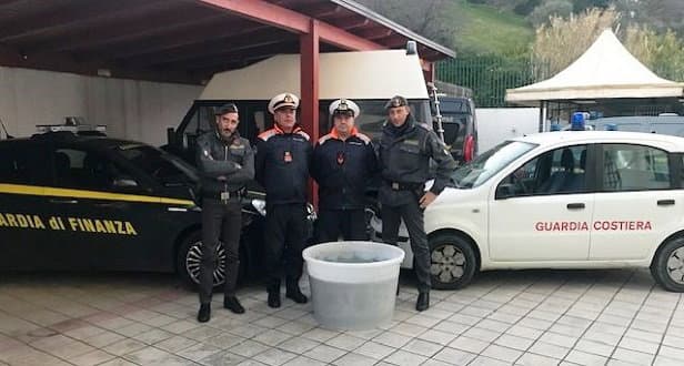 Corigliano Rossano: la Guardia Costiera sequestra 200 chili di sardella