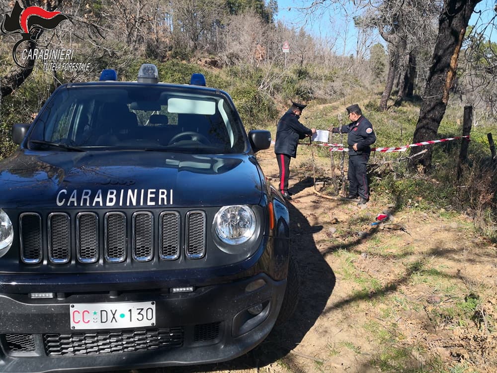 I Carabinieri forestale di Rossano sequestrano un bosco di proprietà comunale a Scala Coeli