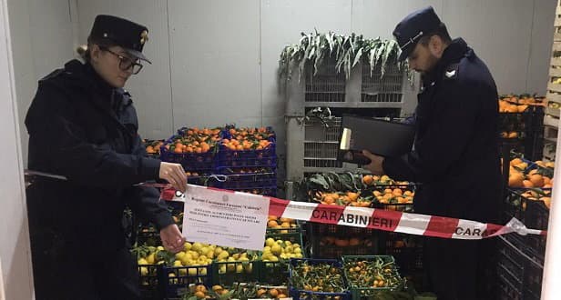 I Carabinieri sequestrano quattro tonnellate di agrumi, ortaggi e 485 litri di olio