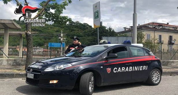 Arrestato un 47enne per coltivazione e detenzione ai fini di spaccio di sostanze stupefacenti