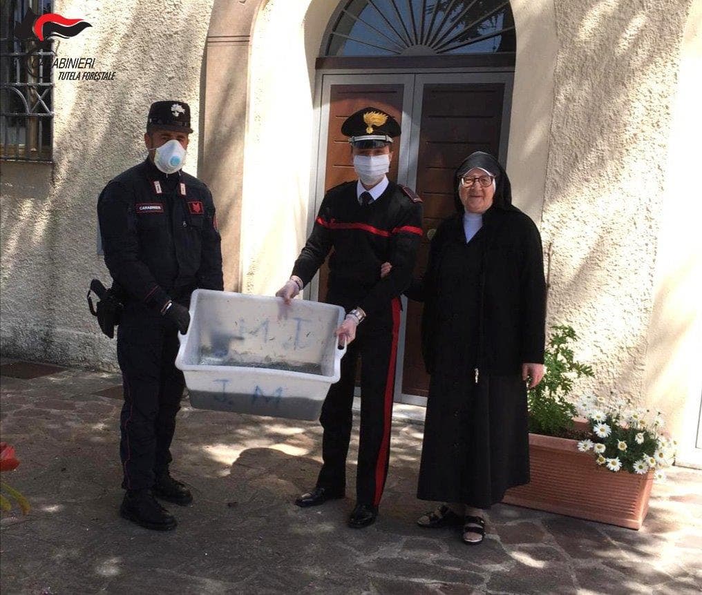 Carabinieri forestale sanzionano uomo di Corigliano per la vendita di "bianchetto"
