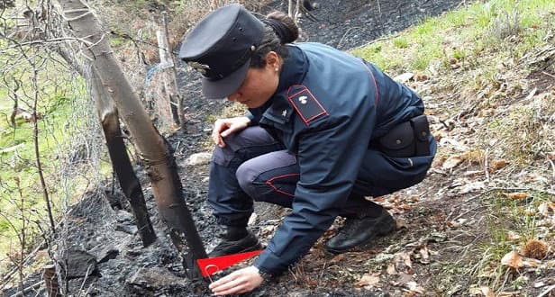Incendio a Longobucco: denunciato dopo aver dato fuoco a residui vegetali