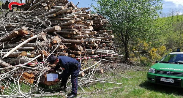 Taglio abusivo, sequestro e denunce dei Carabinieri Forestale