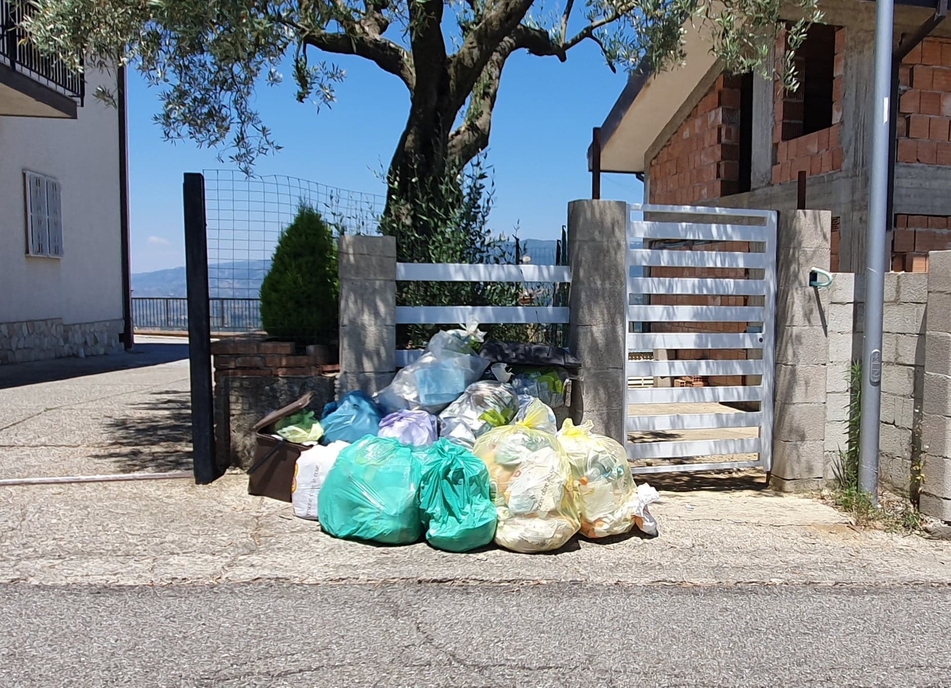 Rifiuti differenziati non ritirati a Cosenza, la denuncia