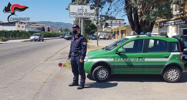 Abusivismo edilizio a Corigliano, sequestri e denunce