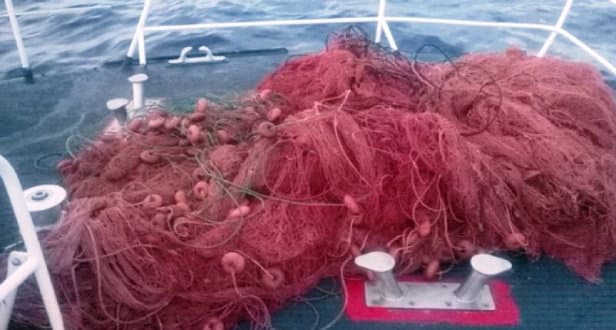 La guardia costiera sequestra una rete "spadara" di 5km