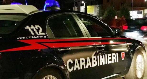 Operazione "Gazze Ladre": eseguite dai Carabinieri 17 misure cautelari
