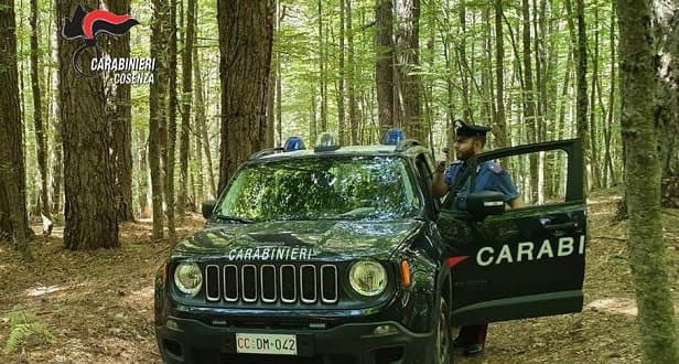 Spaccio di sostanze stupefacenti: due arresti e una denuncia