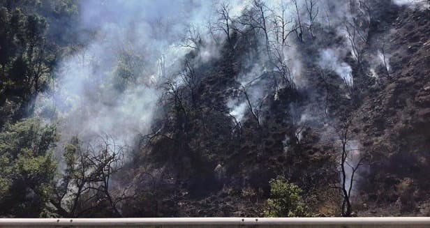 Incendio boschivo causato da lavori sull’Autostrada. Due persone denunciate