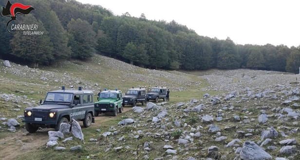 Accendono fuochi dentro un’area protetta: turisti sanzionati