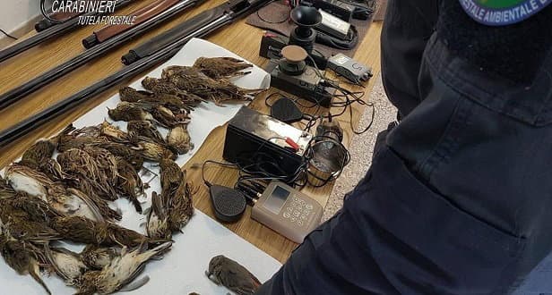 Turismo venatorio. Denunciati cacciatori a Castrovillari e Terranova