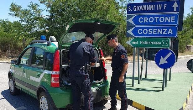 San Giovanni in Fiore: incendio boschivo, notificato avviso nei confronti di un uomo del luogo