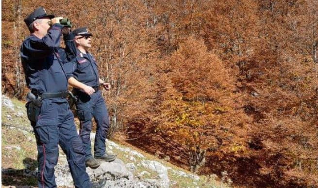 Tutela del Parco del Pollino: il bilancio 2020 dell’Arma Forestale