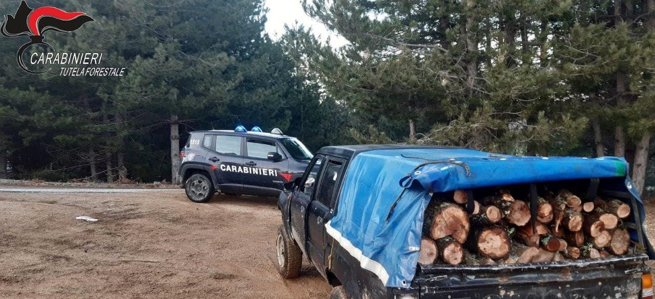 Corigliano-Rossano, arrestato 70enne per furto di legna