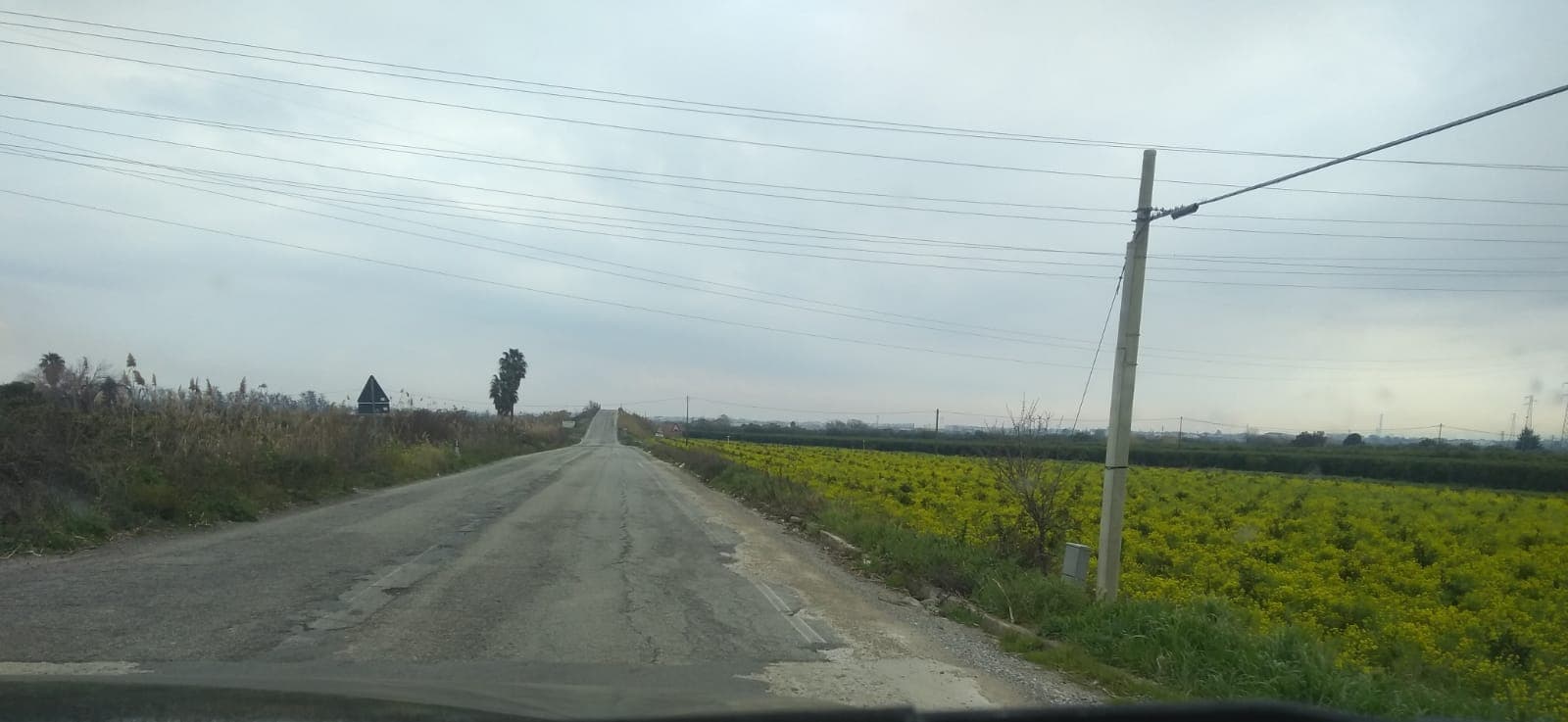 La trappola, Provinciale 196 a un punto di non ritorno: un attentato alla sicurezza