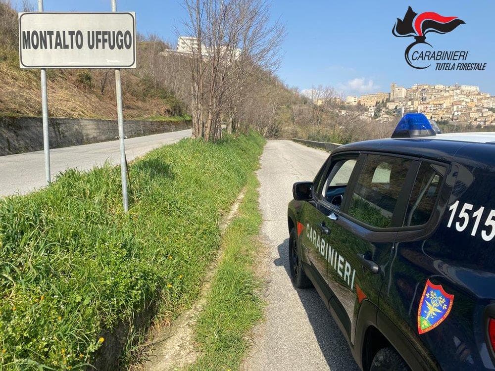 Incendiavano i boschi per rinnovare i pascoli: denunciati due pastori