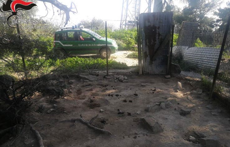 Animali abbandonati a Trebisacce, partono le denunce e i sequestri
