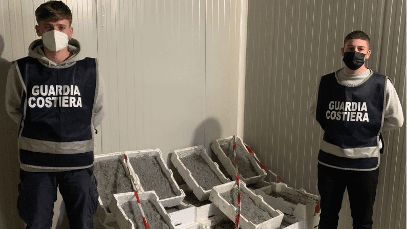 Corigliano-Rossano: sequestrate 2 tonnellate e 750 kg di novellame