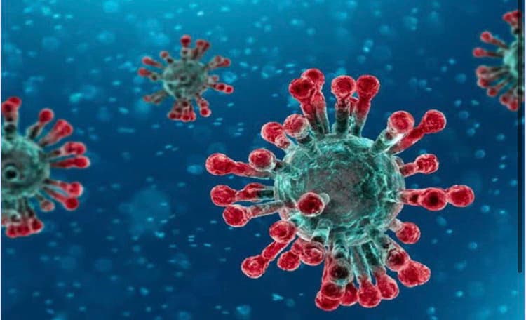 Calabria: ancora troppi i nuovi positivi. Triste record per le terapie intensive- TUTTI I NUMERI DEL CONTAGIO