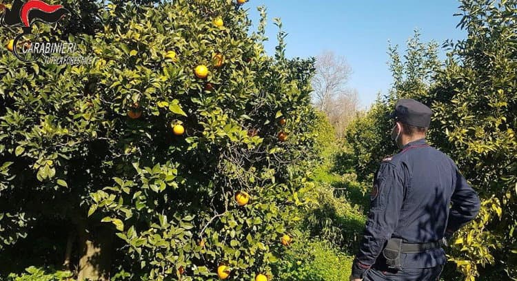 Corigliano: altri quattro indagati per occupazione abusiva di area demaniale