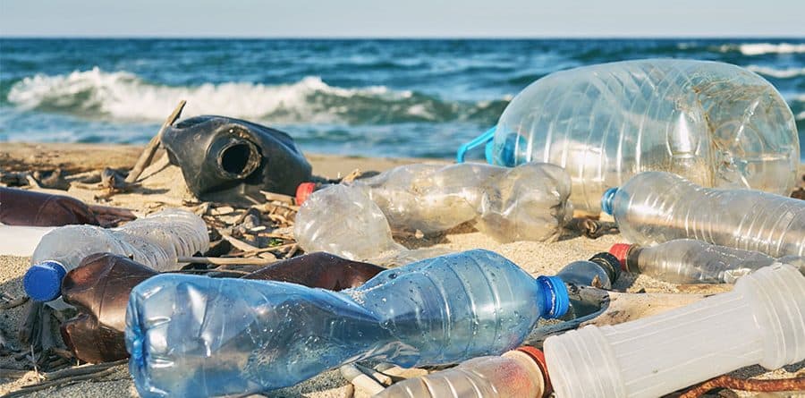 Oggi è la quarta giornata del mare e della cultura marina