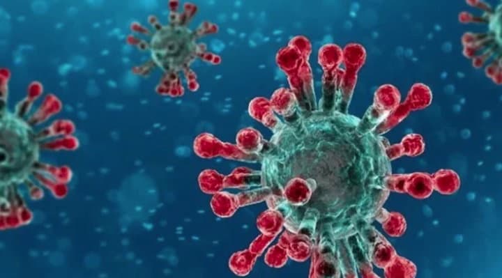 Calabria torna a far paura il numero dei contagi che supera quota 500 casi - TUTTI I NUMERI DEL CONTAGIO