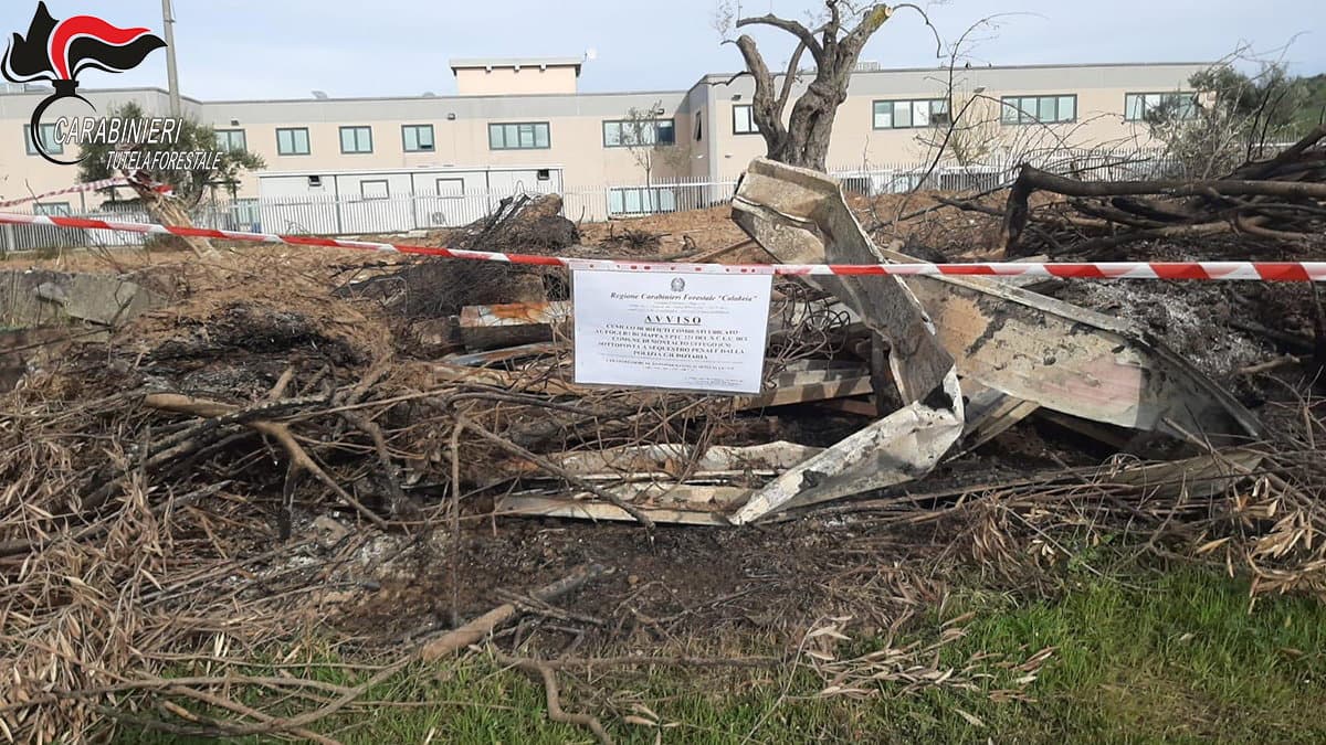 Montalto, smaltimento illecito di rifiuti e molestie olfattive. Denunciate tre persone