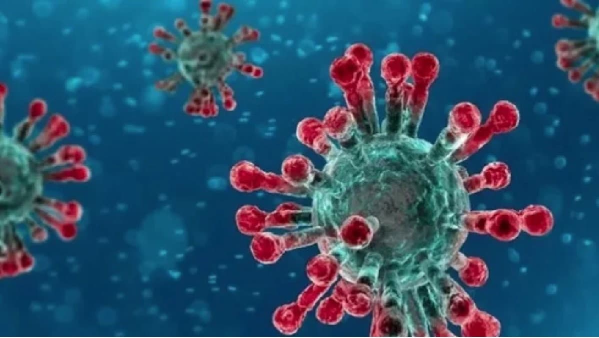In Calabria il tasso dei tamponi positivi rimane alto: è al 14,65% - TUTTI I NUMERI DEL CONTAGIO