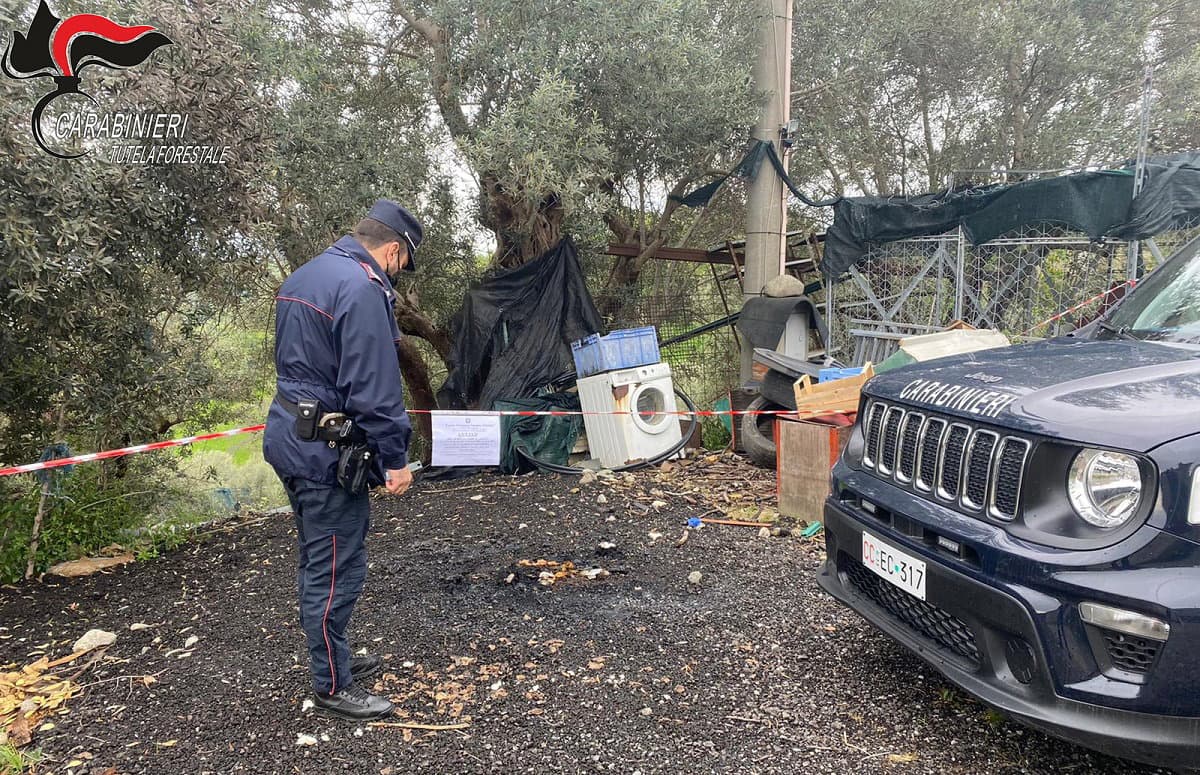 Lattarico, incendia rifiuti: denunciato