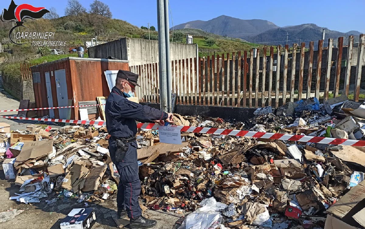 Verbicaro e San Nicola Arcella, denunce e sequestri in seguito ai controlli dei Carabinieri Forestali
