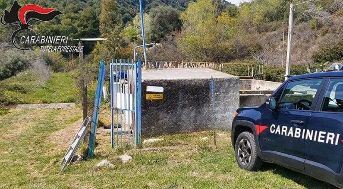 Controlli ambientali nell’alto Jonio cosentino: diversi sequestri da parte dei Carabinieri Forestale