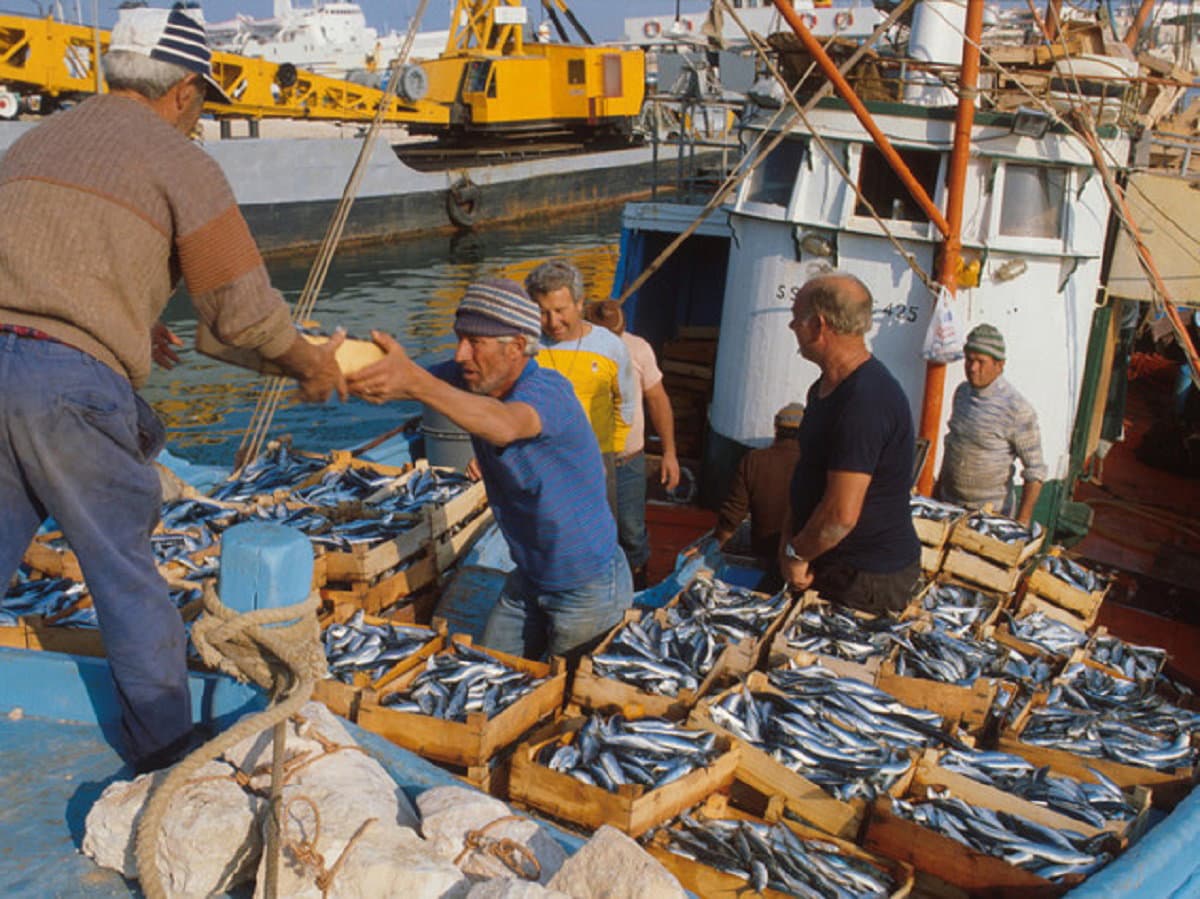 Pesca, in Calabria la spesa certificata dei fondi europei supera i 5 milioni
